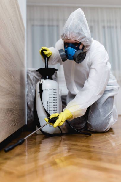 Best Fumigation Services  in Moreauville, LA